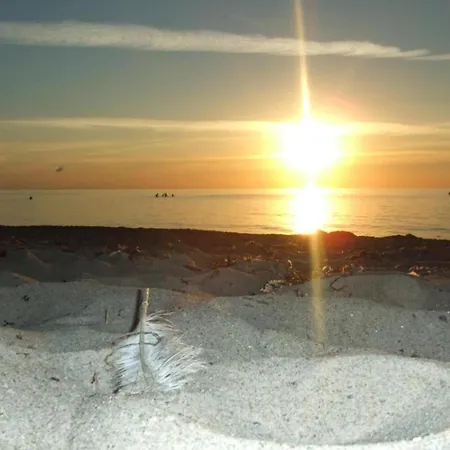 Fairy Tale In Near The Centre *