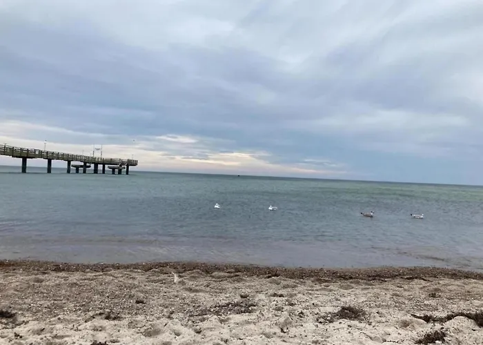 Fairy Tale In Near The Centre *